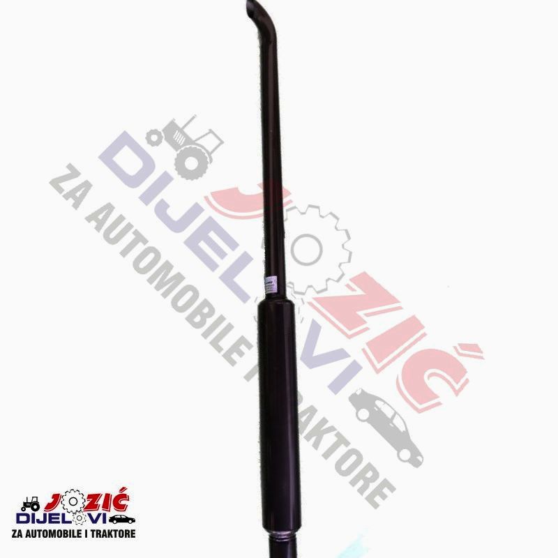 Daisy on the Ohoopee