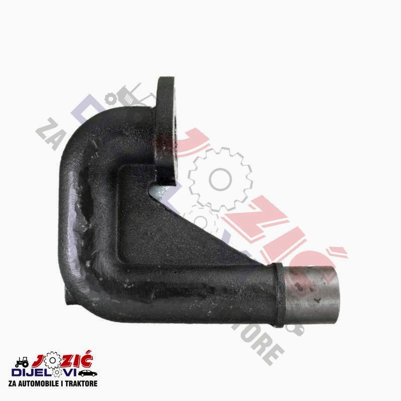 Daisy on the Ohoopee