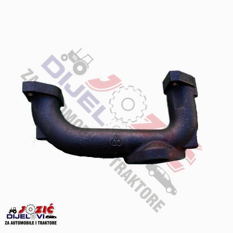 Daisy on the Ohoopee