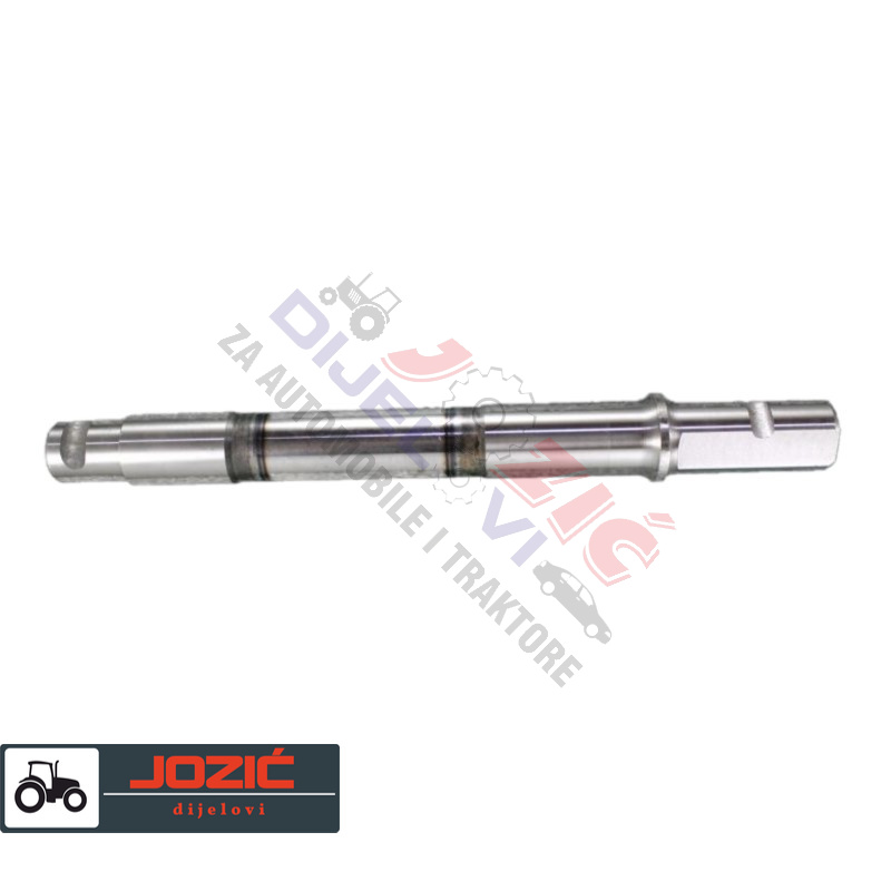 Daisy on the Ohoopee