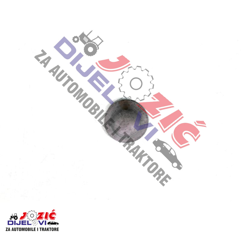 Daisy on the Ohoopee