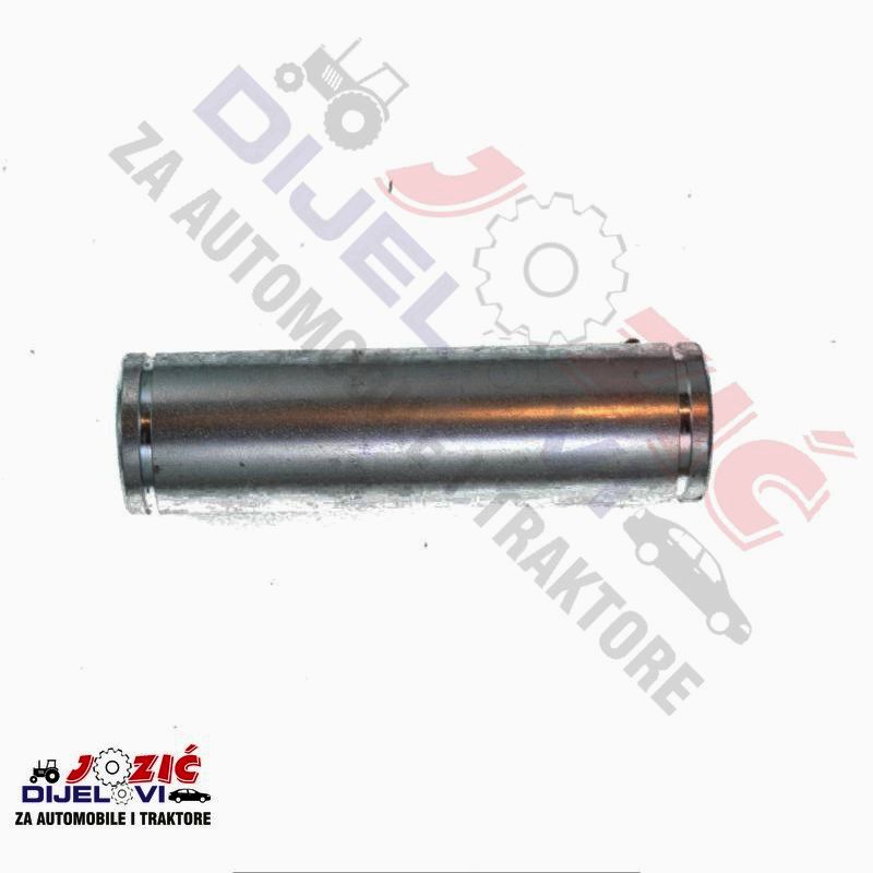 Daisy on the Ohoopee