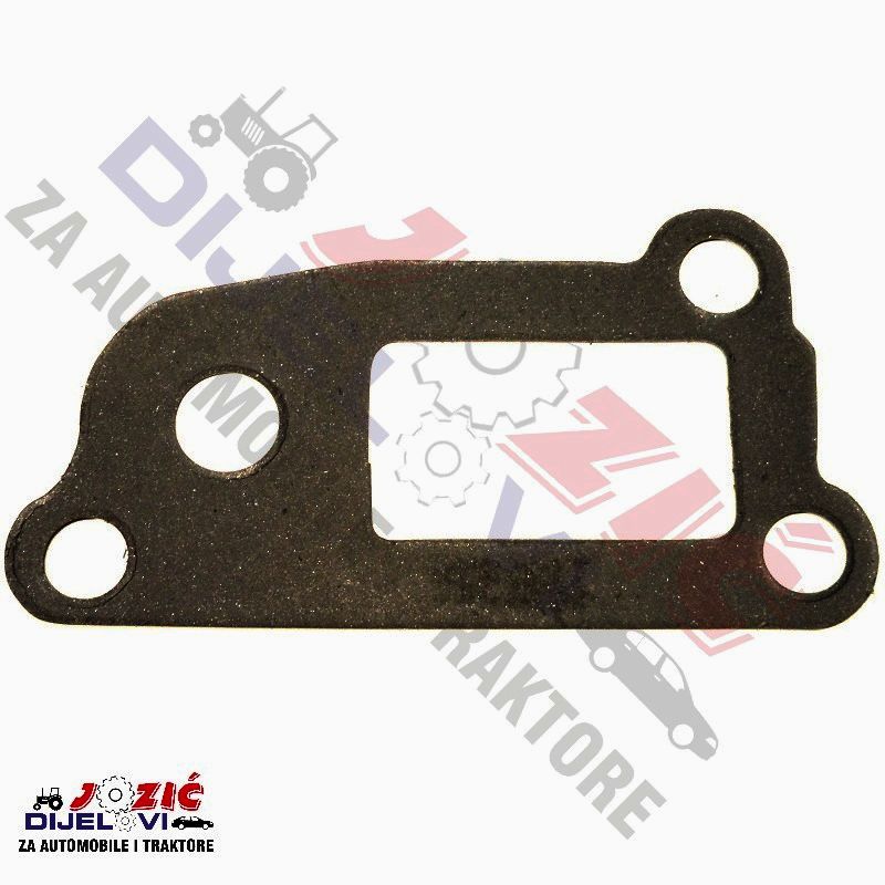 Daisy on the Ohoopee