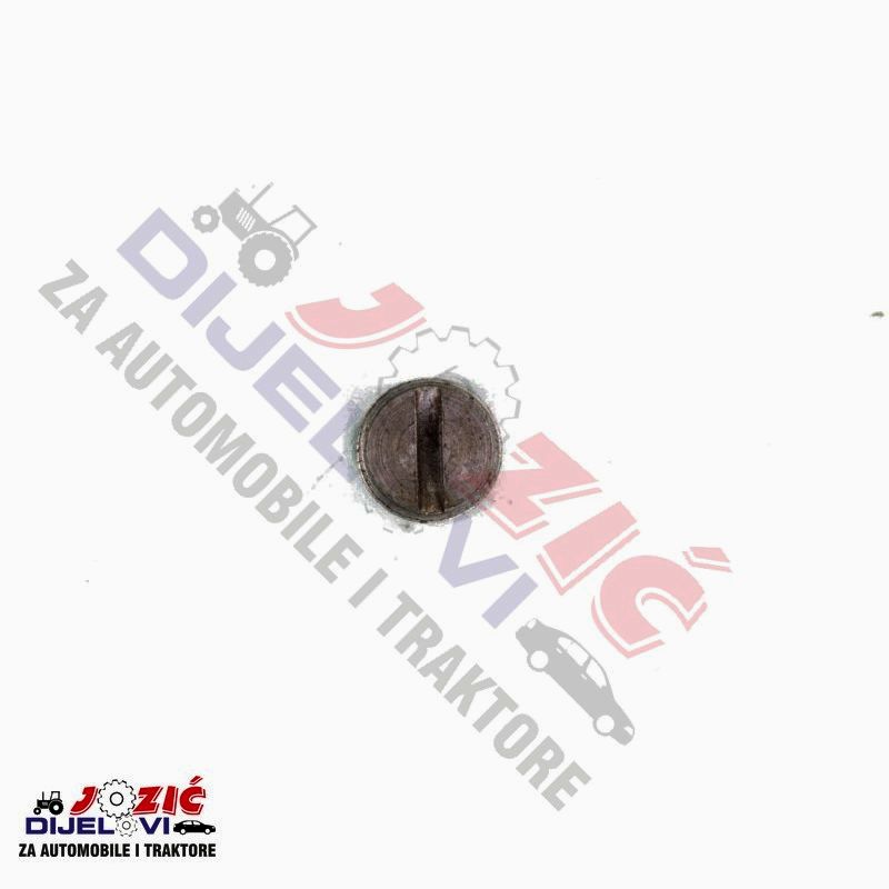 Daisy on the Ohoopee