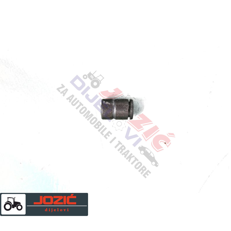 Daisy on the Ohoopee