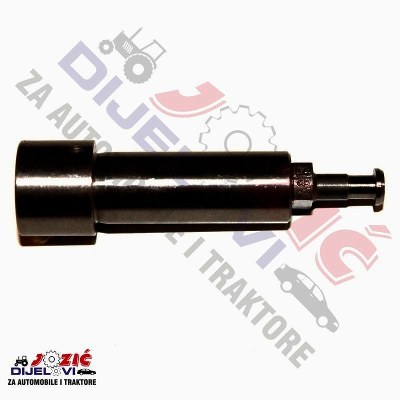 Daisy on the Ohoopee