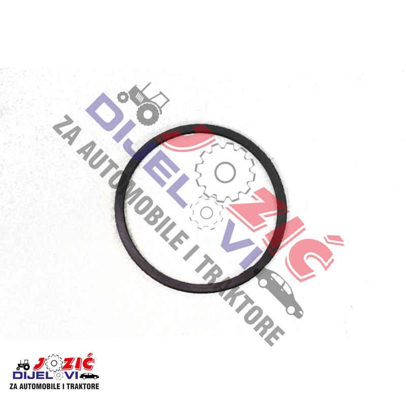 Daisy on the Ohoopee