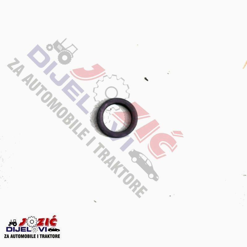 Daisy on the Ohoopee