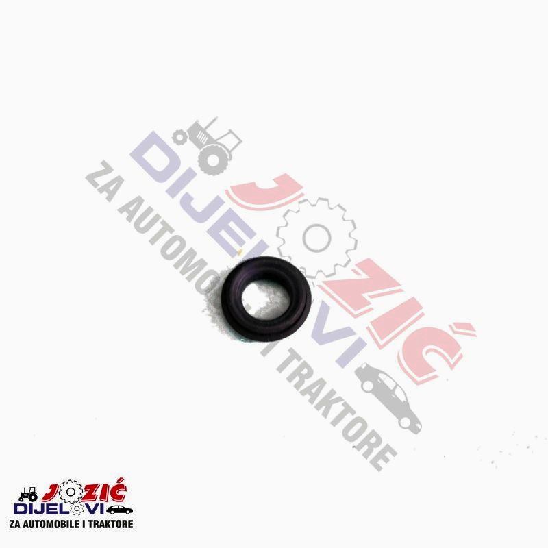 Daisy on the Ohoopee