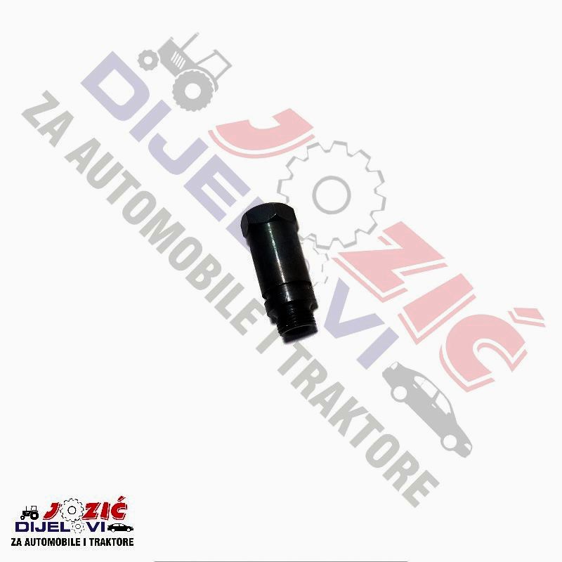 Daisy on the Ohoopee