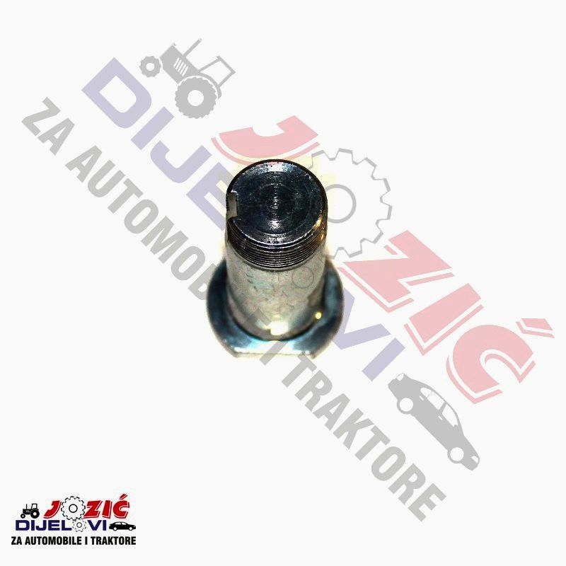 Daisy on the Ohoopee