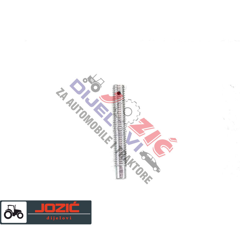 Daisy on the Ohoopee