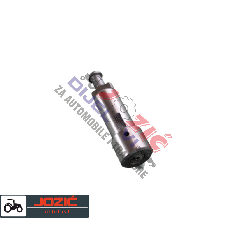 Daisy on the Ohoopee