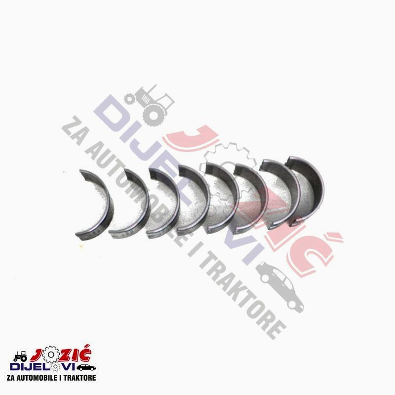 Daisy on the Ohoopee