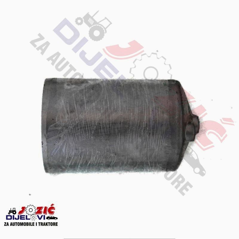 Daisy on the Ohoopee