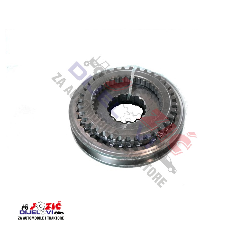 Daisy on the Ohoopee