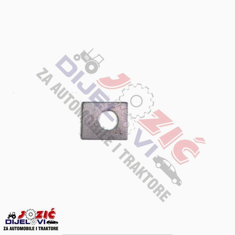 Daisy on the Ohoopee