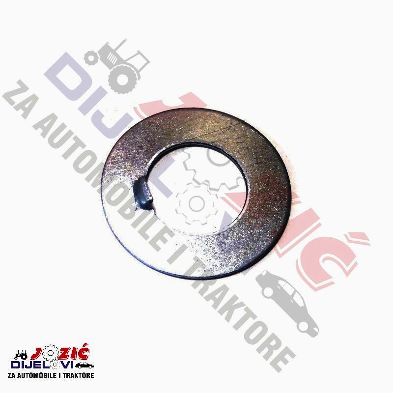 Daisy on the Ohoopee