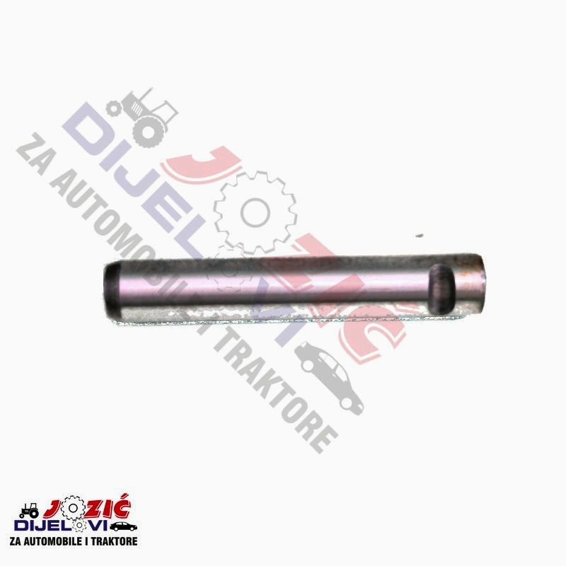 Daisy on the Ohoopee