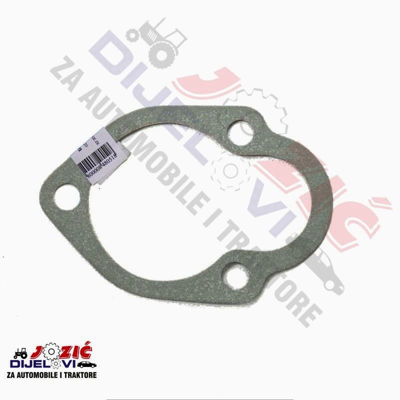 Daisy on the Ohoopee