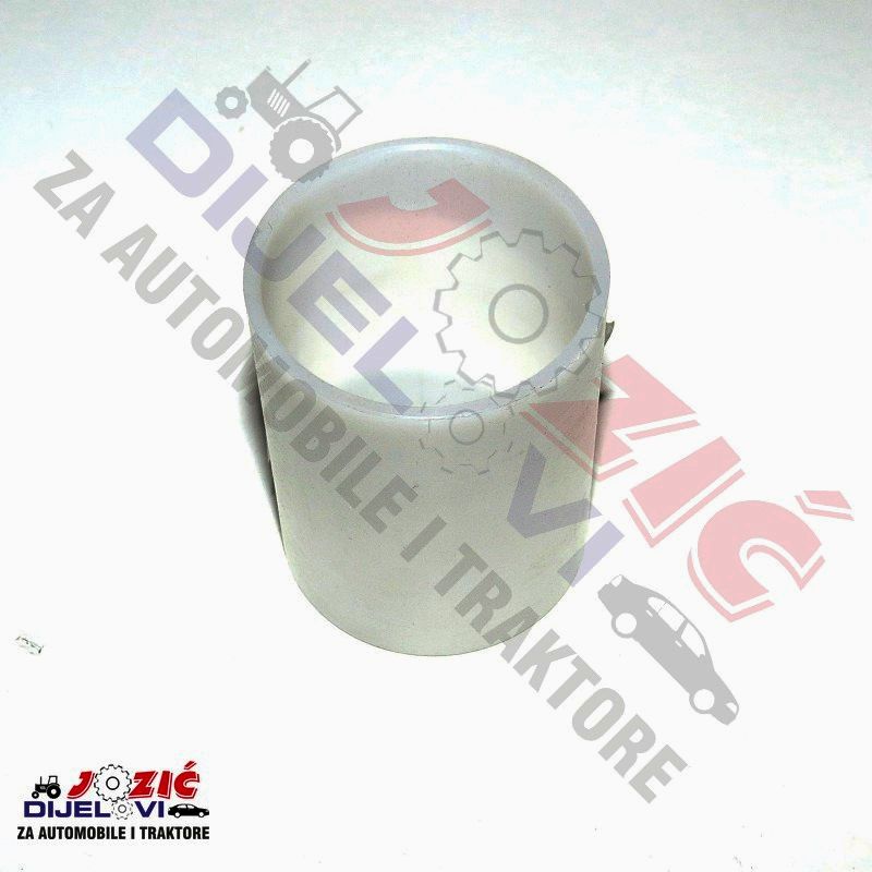 Daisy on the Ohoopee