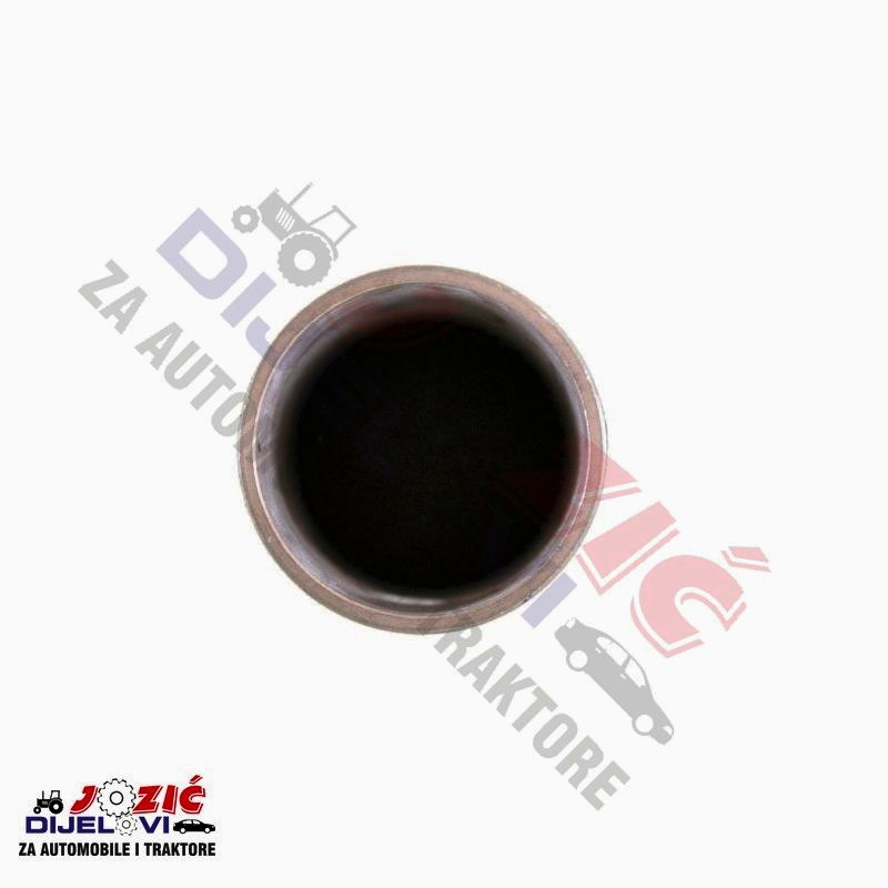 Daisy on the Ohoopee