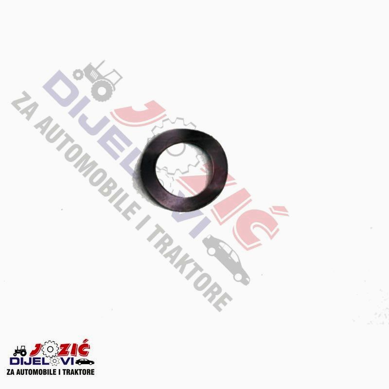 Daisy on the Ohoopee