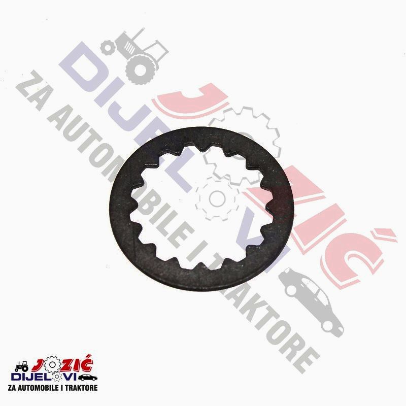 Daisy on the Ohoopee