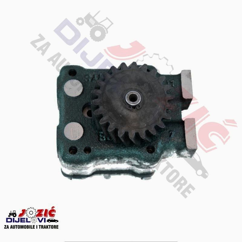 Daisy on the Ohoopee