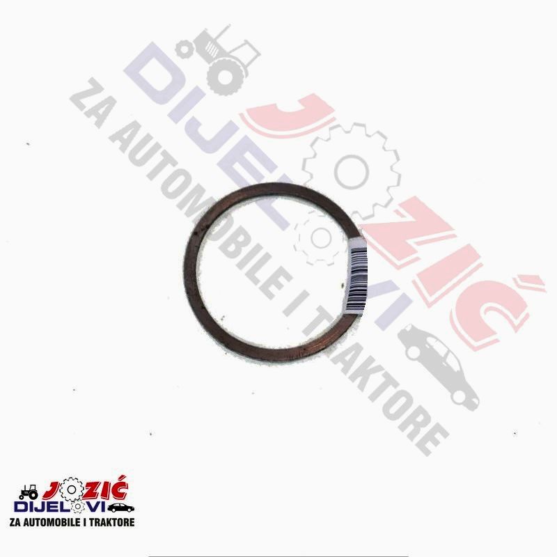 Daisy on the Ohoopee