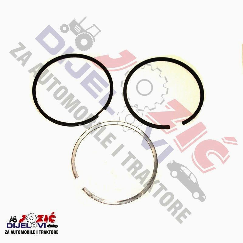 Daisy on the Ohoopee