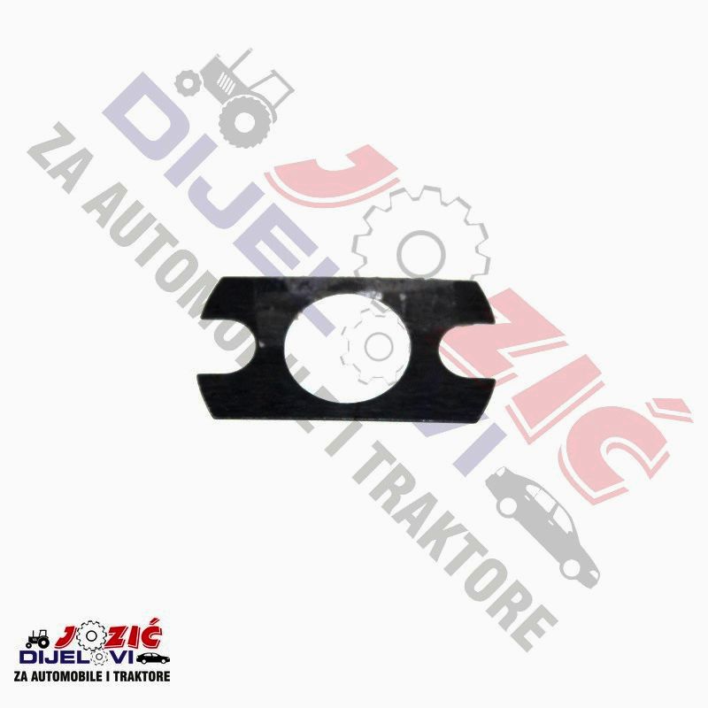 Daisy on the Ohoopee