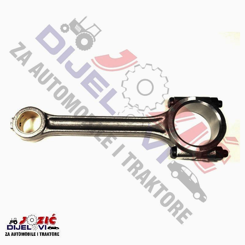 Daisy on the Ohoopee