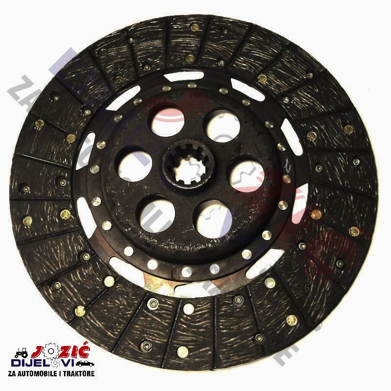 Daisy on the Ohoopee