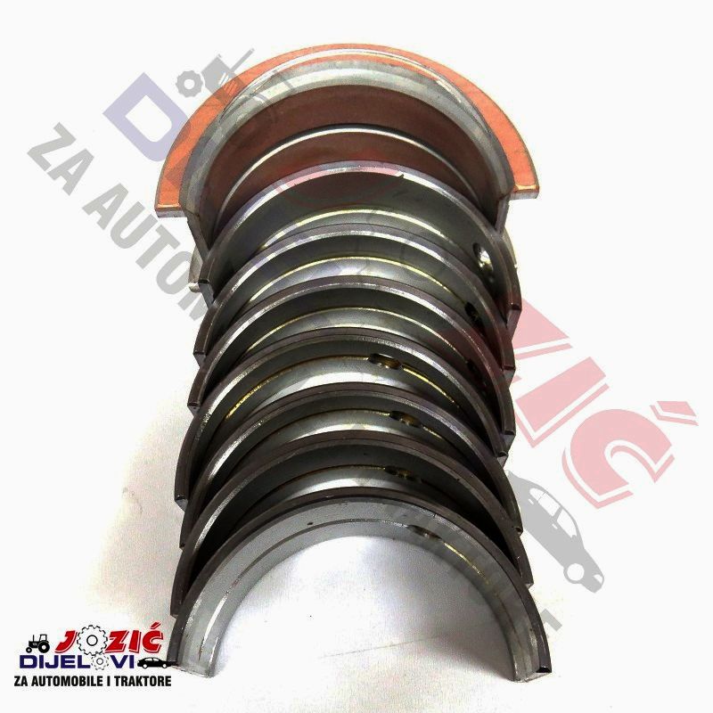 Daisy on the Ohoopee