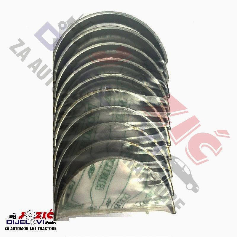 Daisy on the Ohoopee