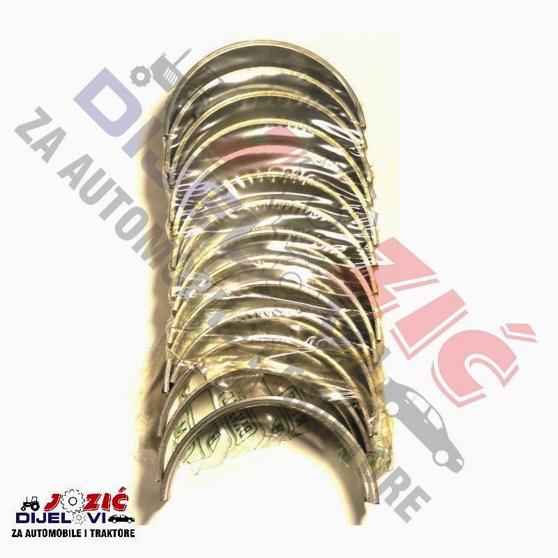 Daisy on the Ohoopee