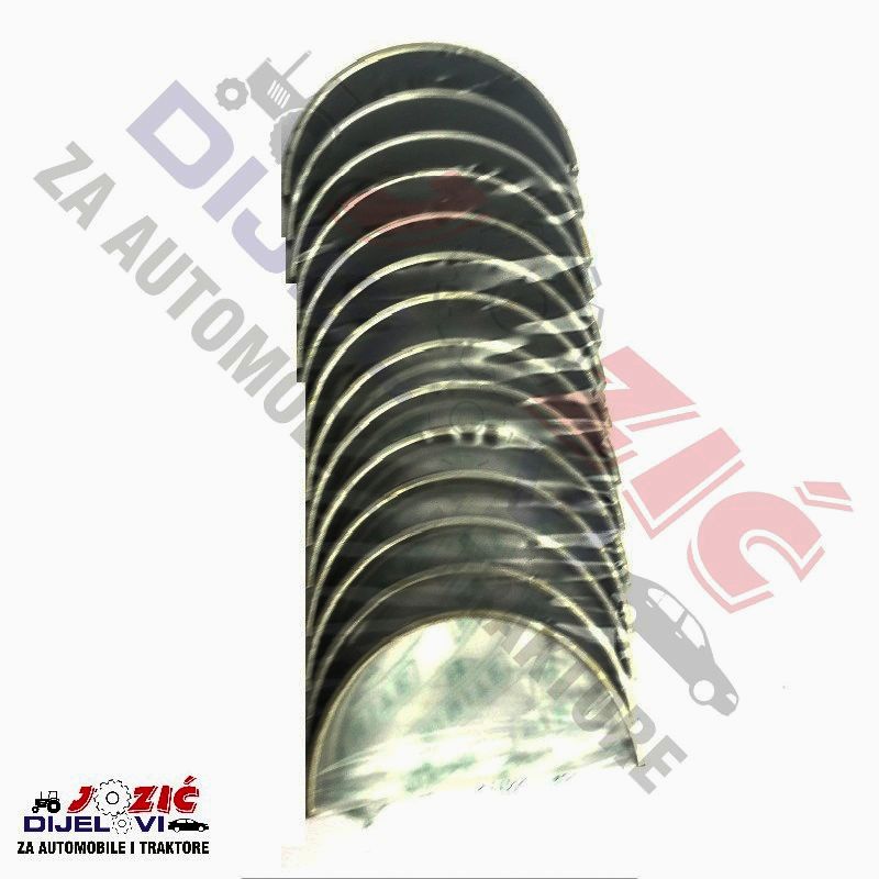 Daisy on the Ohoopee