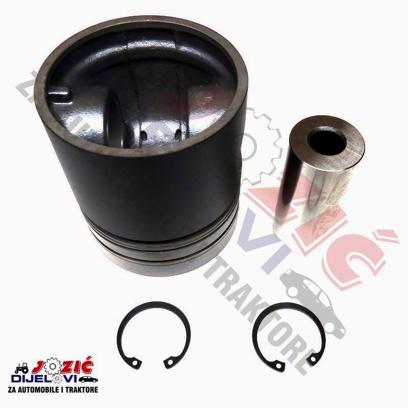 Daisy on the Ohoopee