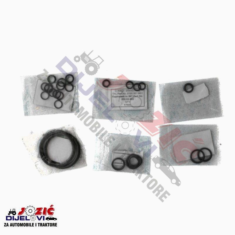 Daisy on the Ohoopee