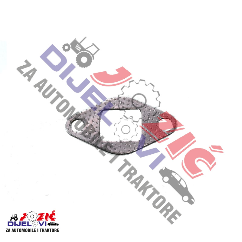 Daisy on the Ohoopee