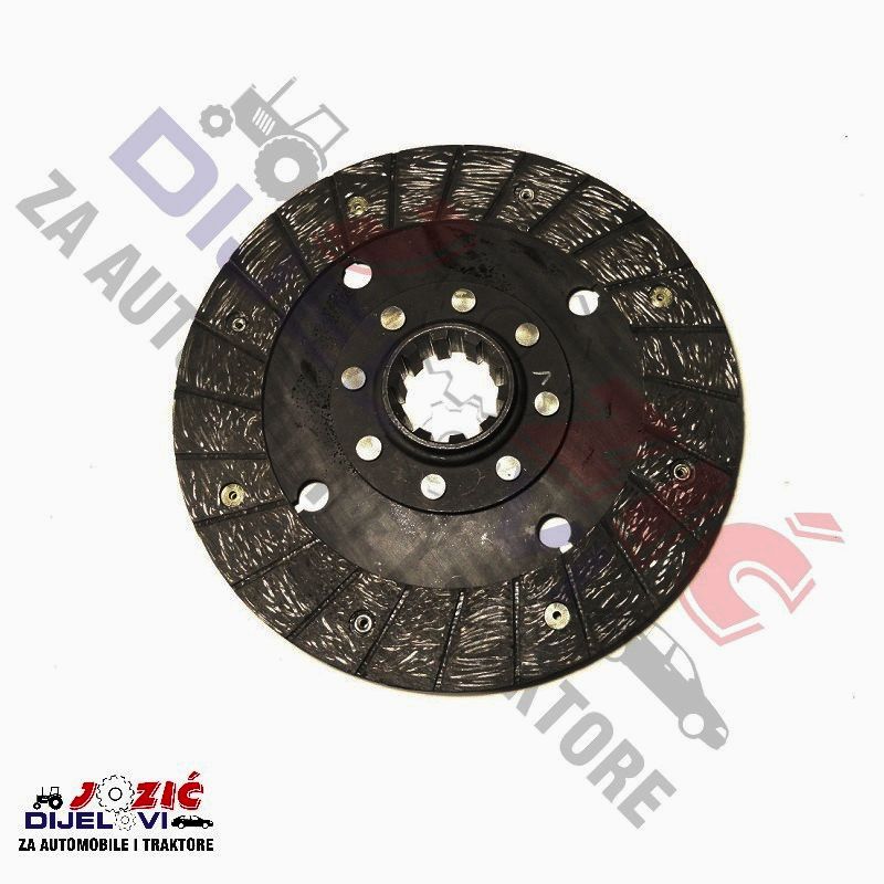 Daisy on the Ohoopee