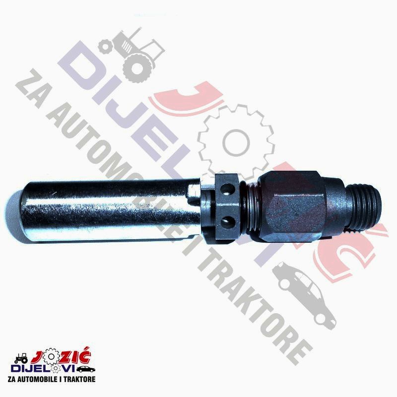 Daisy on the Ohoopee