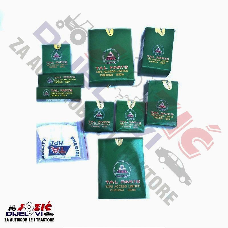 Daisy on the Ohoopee