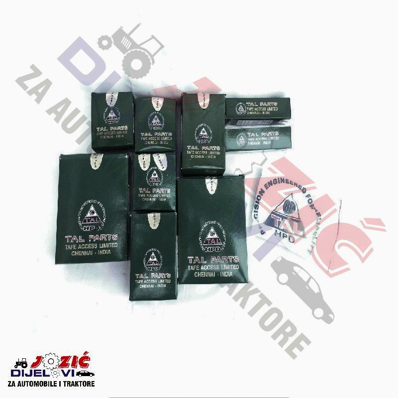 Daisy on the Ohoopee