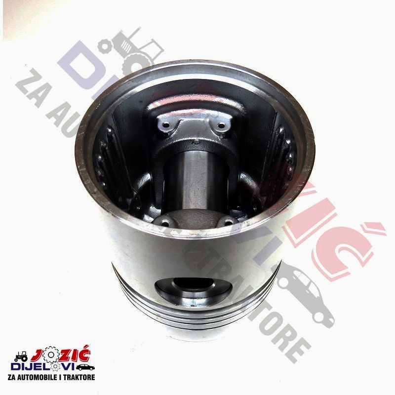 Daisy on the Ohoopee