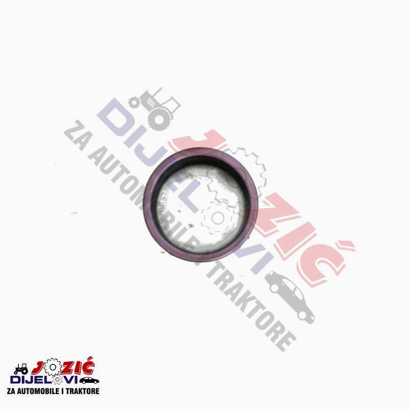 Daisy on the Ohoopee