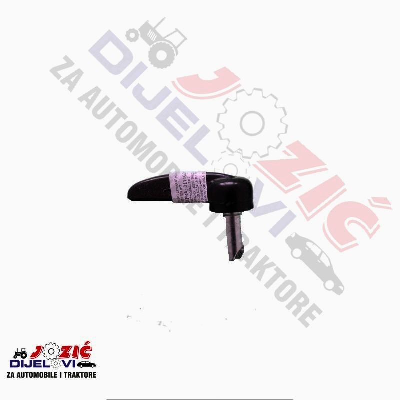 Daisy on the Ohoopee