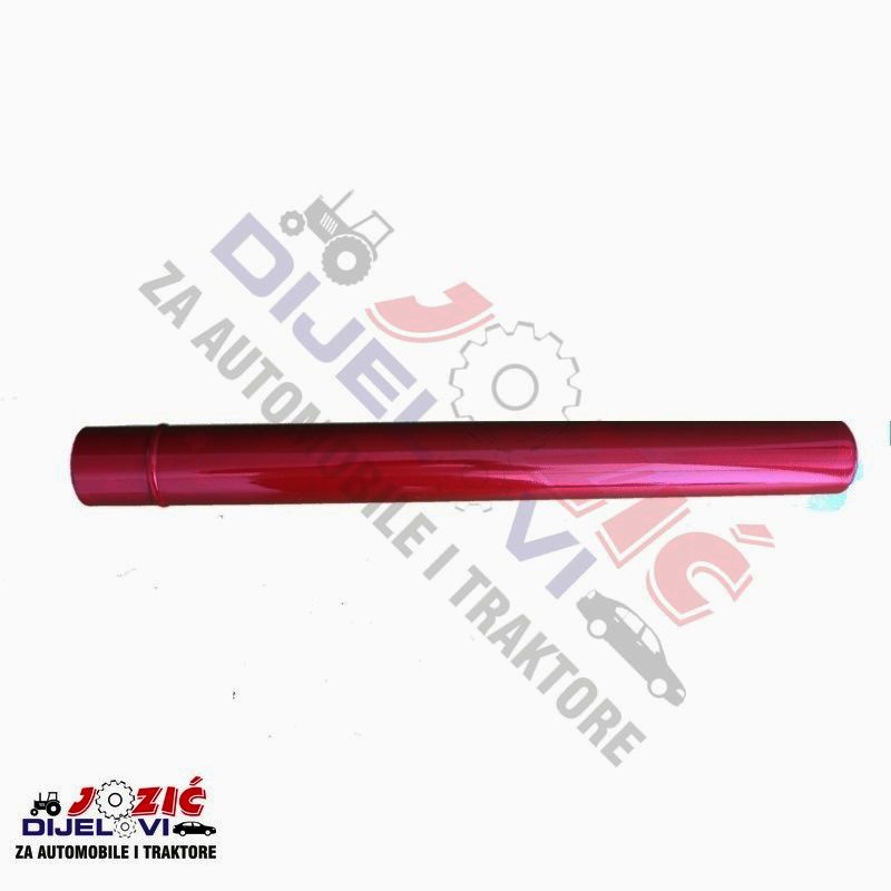 Daisy on the Ohoopee