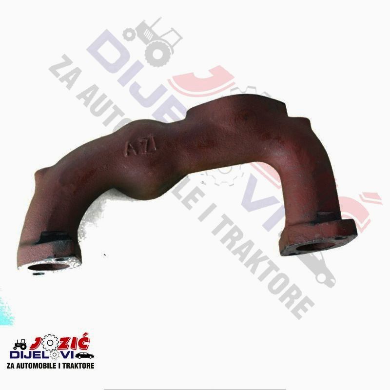 Daisy on the Ohoopee